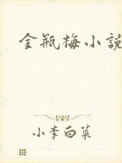 金瓶梅小说下载