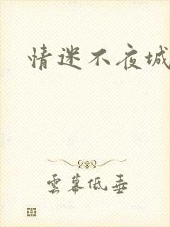 情迷不夜城