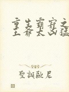 重生霸宠之摄政王爷太凶猛