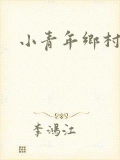 小青年乡村猎艳封面