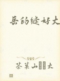 岳的缝好大封面