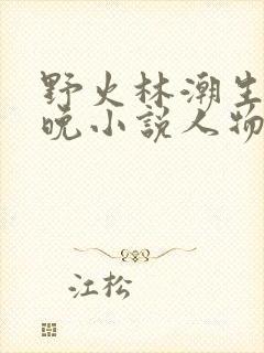 野火林潮生林晚晚小说人物野火