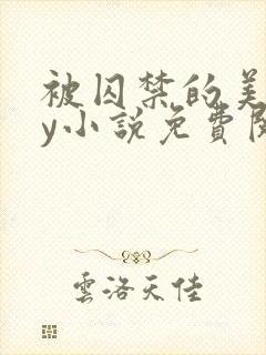 被囚禁的美人by小说免费阅读