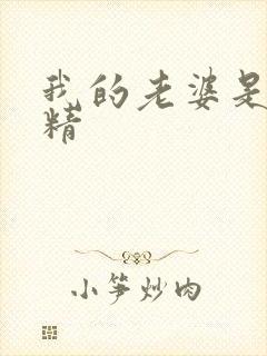 我的老婆是狐狸精封面