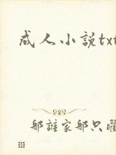 成人小说txt