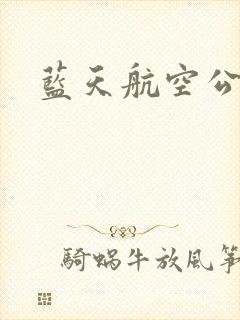 蓝天航空公司封面