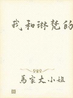 我和琳梵的故事