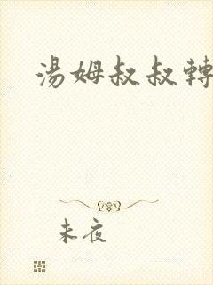 汤姆叔叔转接口