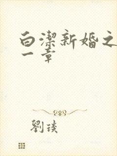 白洁新婚之夜第一章封面