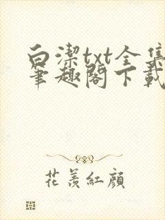 白洁txt全集笔趣阁下载