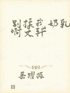 别揉我奶乳嗯～啊文轩