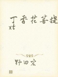 丁香花菩提树txt