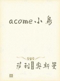 acome小鸟