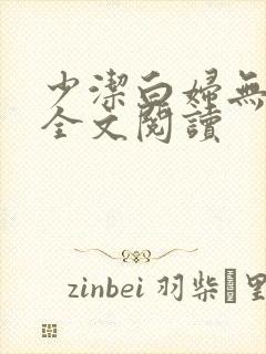 少洁白妇无删减全文阅读