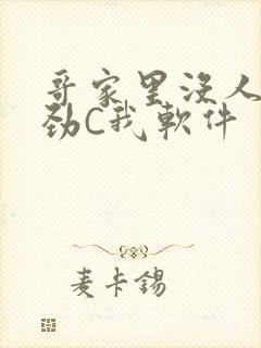 哥家里没人使点劲C我软件