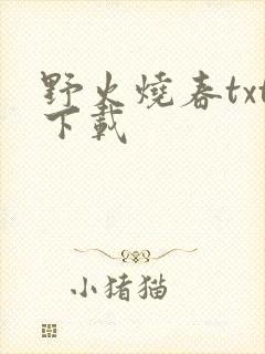 野火烧春txt下载