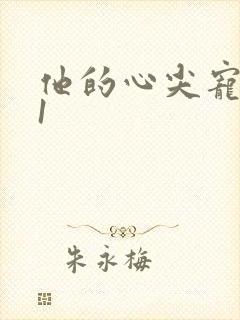 他的心尖宠1v1封面