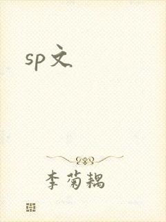 sp文封面