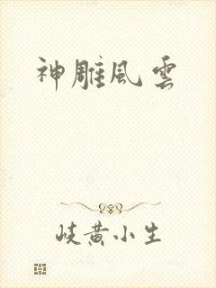 神雕风云
