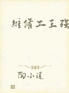 维修工王强张婷封面