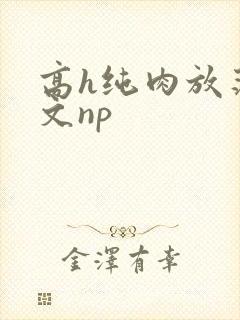高h纯肉放荡h文np封面