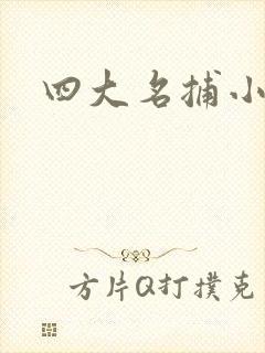 四大名捕小说