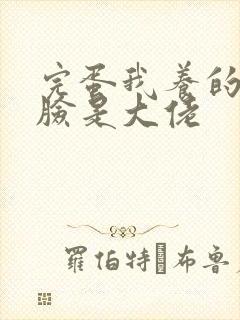 完蛋我养的小白脸是大佬