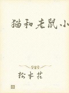 猫和老鼠小说