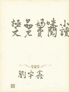 极品妈咪小说全文免费阅读