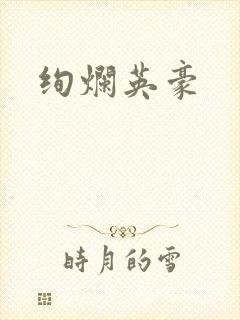 绚烂英豪封面