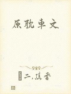 原耽车文