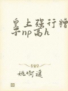 皇上强行糟蹋太子np高h