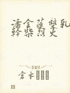 潘金莲双乳晃动干柴烈火封面