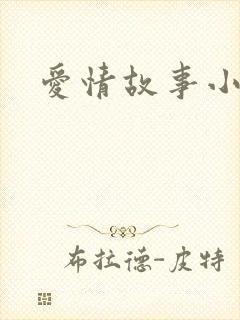 爱情故事小说