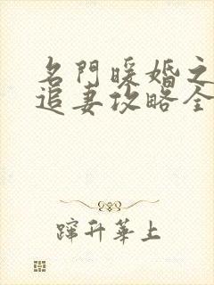 名门暖婚之权爷追妻攻略全文免费阅读