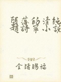 堕落的清纯校花赵诗宁小说阅读