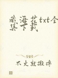藏海花txt全集下载