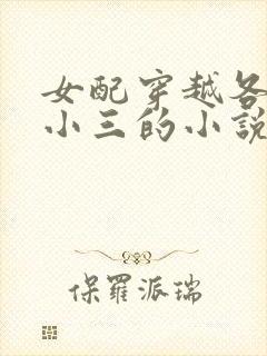 女配穿越各个做小三的小说