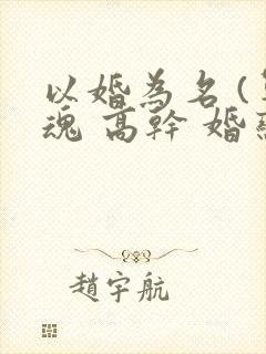 以婚为名 (军魂 高干 婚恋)