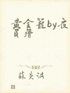 黄金笼by夜很贫瘠封面