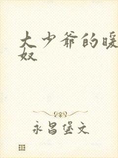 大少爷的暖床小奴