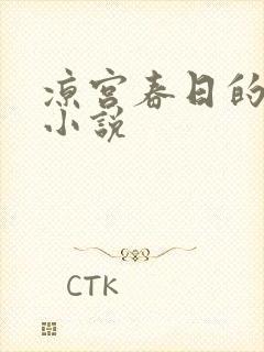 凉宫春日的忧郁小说封面