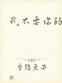 我不要你的承诺