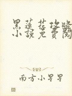 黑莲花攻略手册小说免费阅读封面