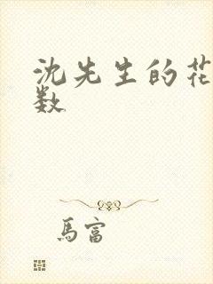 沈先生的花式调数封面