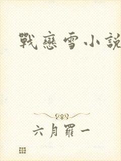 战恋雪小说封面