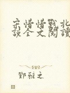 宋惜惜战北望小说全文阅读