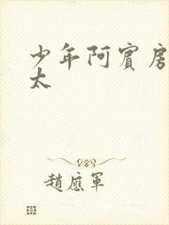 少年阿宾房东太太