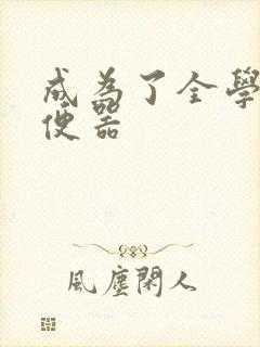 成为了全学校坐便器