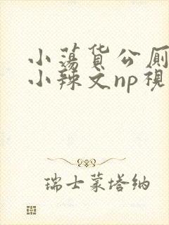 小荡货公厕h文小辣文np视频